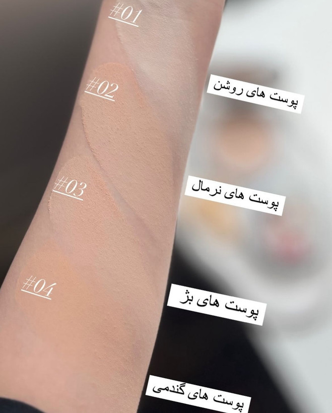 بی بی پنکک گابرینی (Gabrini BB Matte Powder) | پوشش مات و طبیعی با پد مخصوص